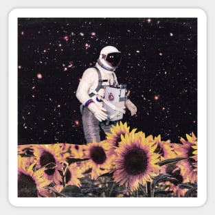 Picking Sunflowers - Space Aesthetic Collage, Sci Fi Sticker